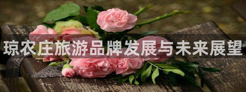 天辰娱乐分红
