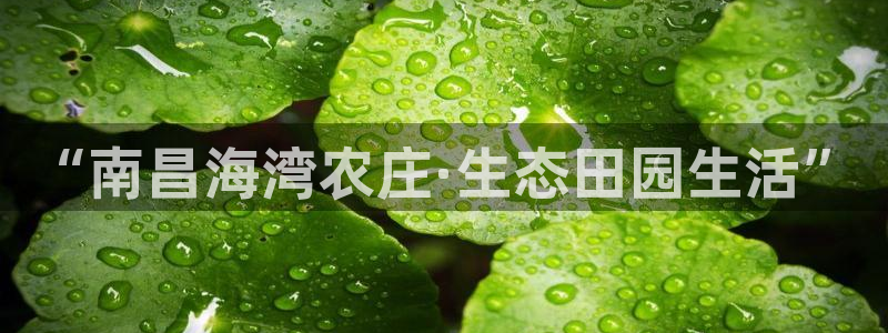 天辰娱乐说