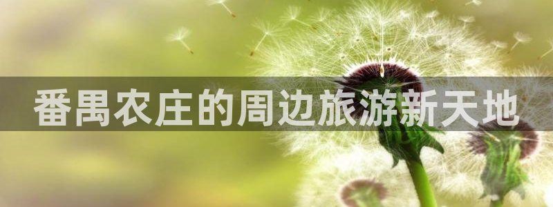 天富娱乐天辰娱乐