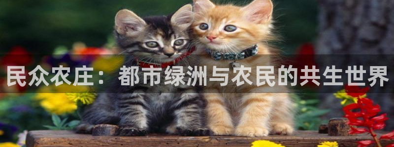 天辰娱乐代理
