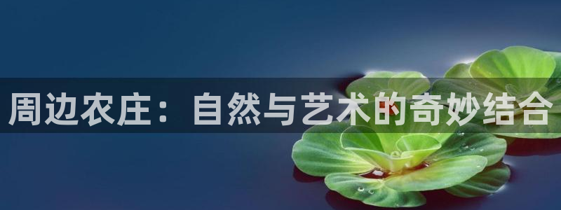 天辰娱乐平台app下载