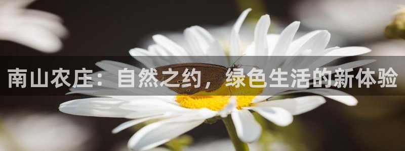 天辰a娱乐