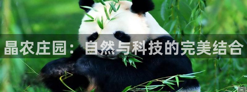 天辰娱乐文化