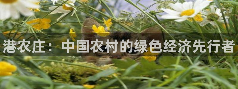 天辰团队贝高娱乐