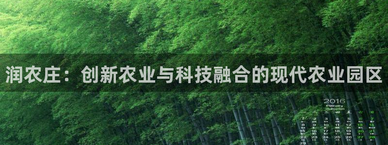 天辰娱乐天辰宝