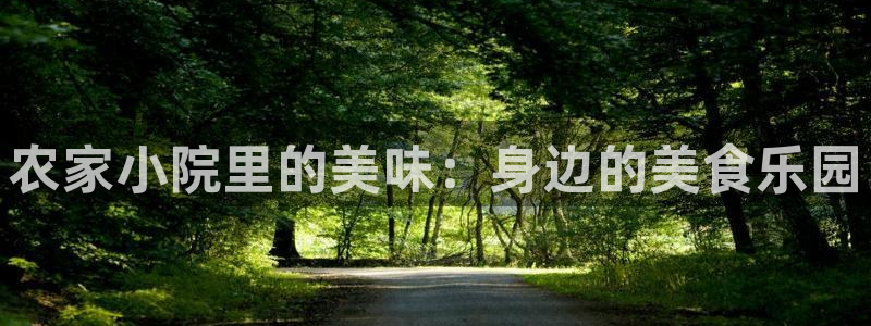 天辰娱乐平台测速