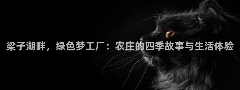 天辰娱乐39974神