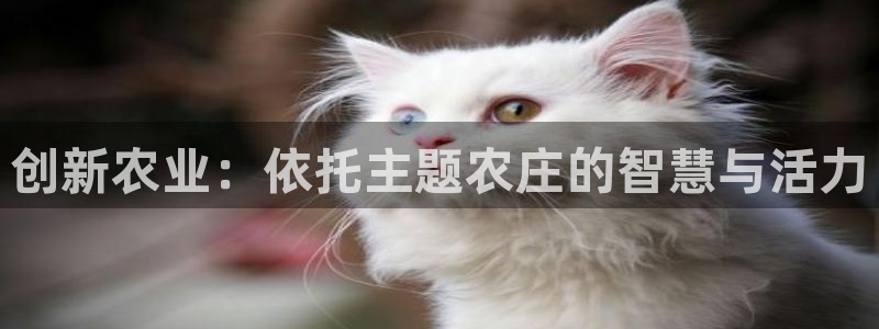 天辰娱乐平台地址在哪里