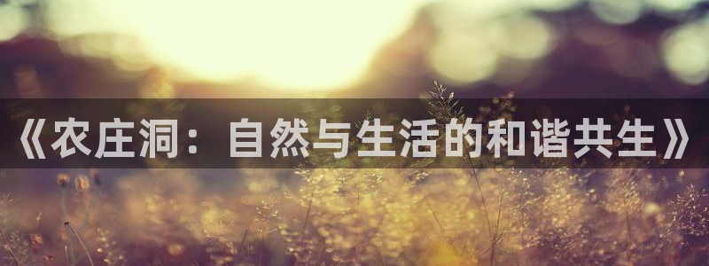 天辰娱乐平台app下载