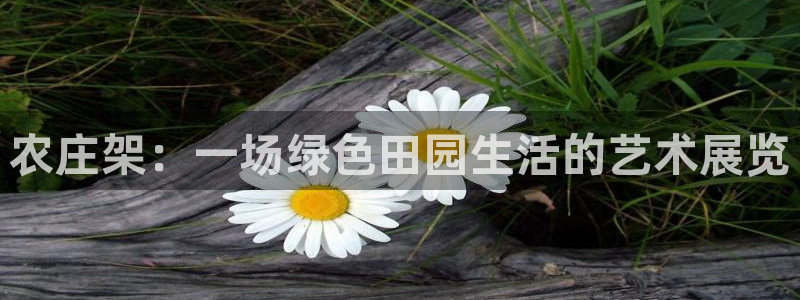 天辰娱乐728567