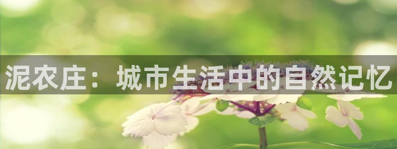 天辰娱乐输了