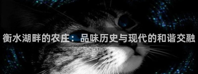 天辰娱乐会所