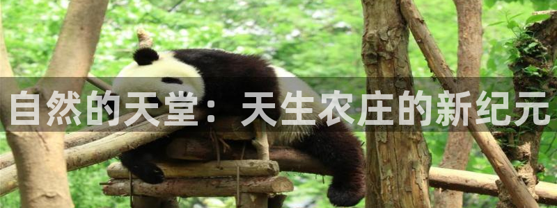 天辰娱乐赌博