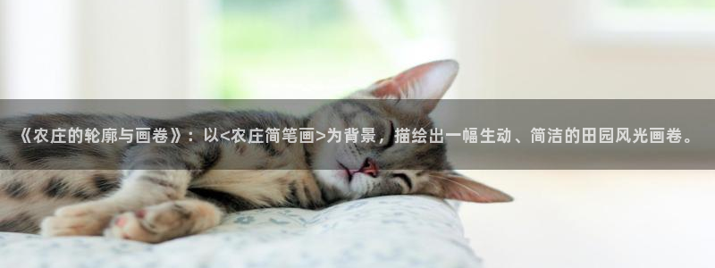 天辰娱乐 主管