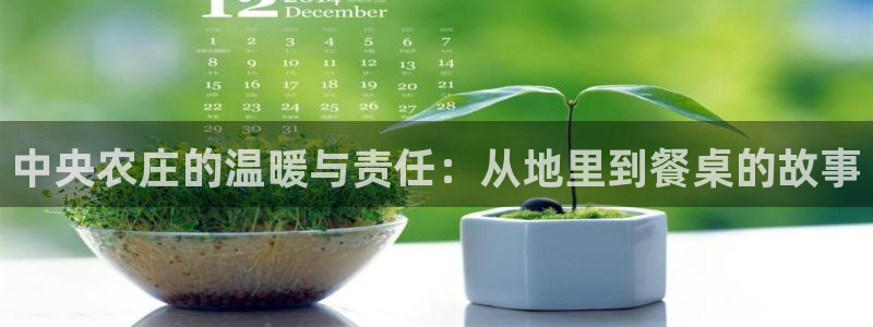 天辰娱乐平台靠谱么