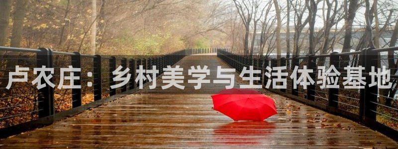 天辰娱乐入口