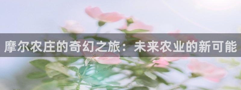 天辰娱乐简介