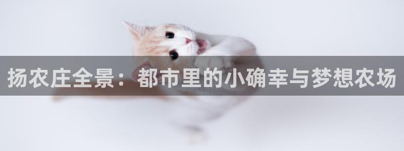 北京天辰娱乐