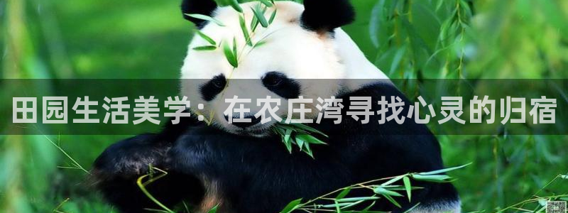 天辰娱乐股东