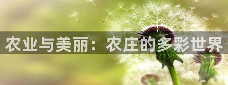 天辰娱乐在线登录注册