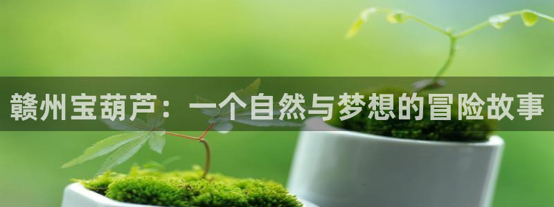 天辰娱乐反水