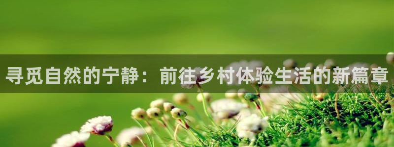 大同天辰娱乐