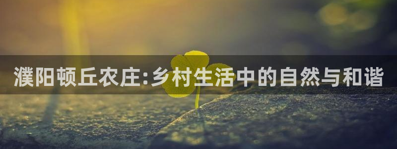 手机上怎么下载天辰娱乐