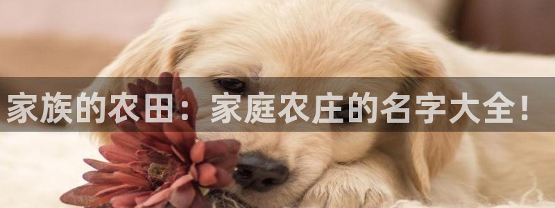 天辰娱乐说