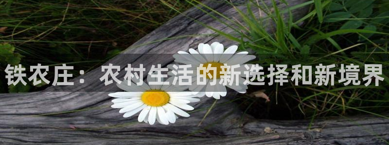 天辰娱乐棋牌