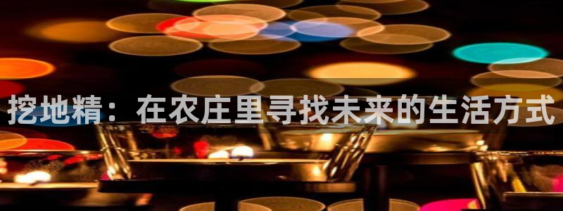 天辰娱乐所